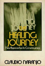 The Healing Journey